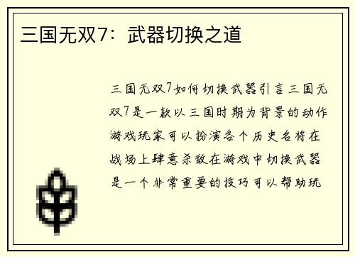 三国无双7：武器切换之道